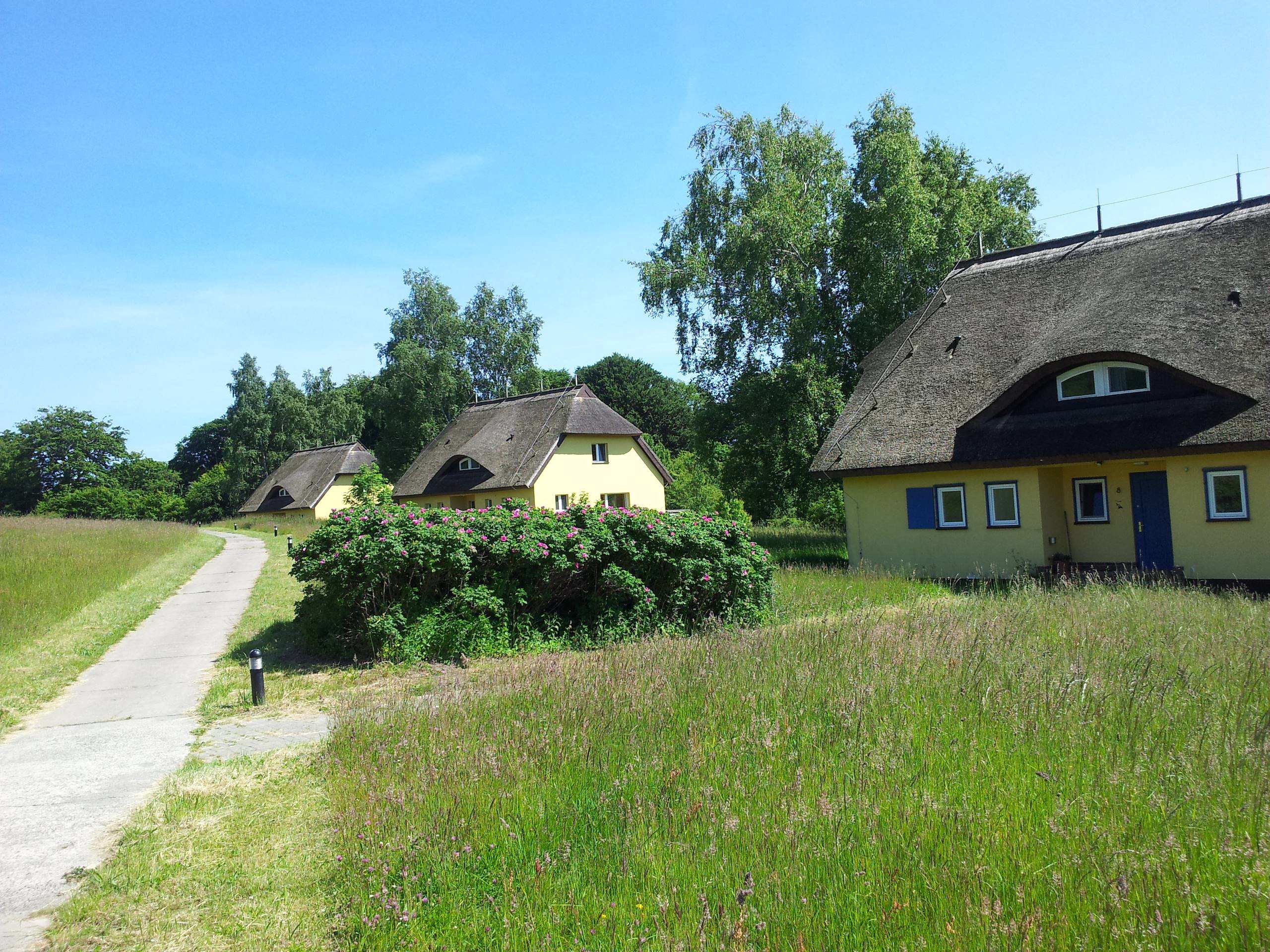 Insel Vilm – Traditionelles reetgedecktes Haus