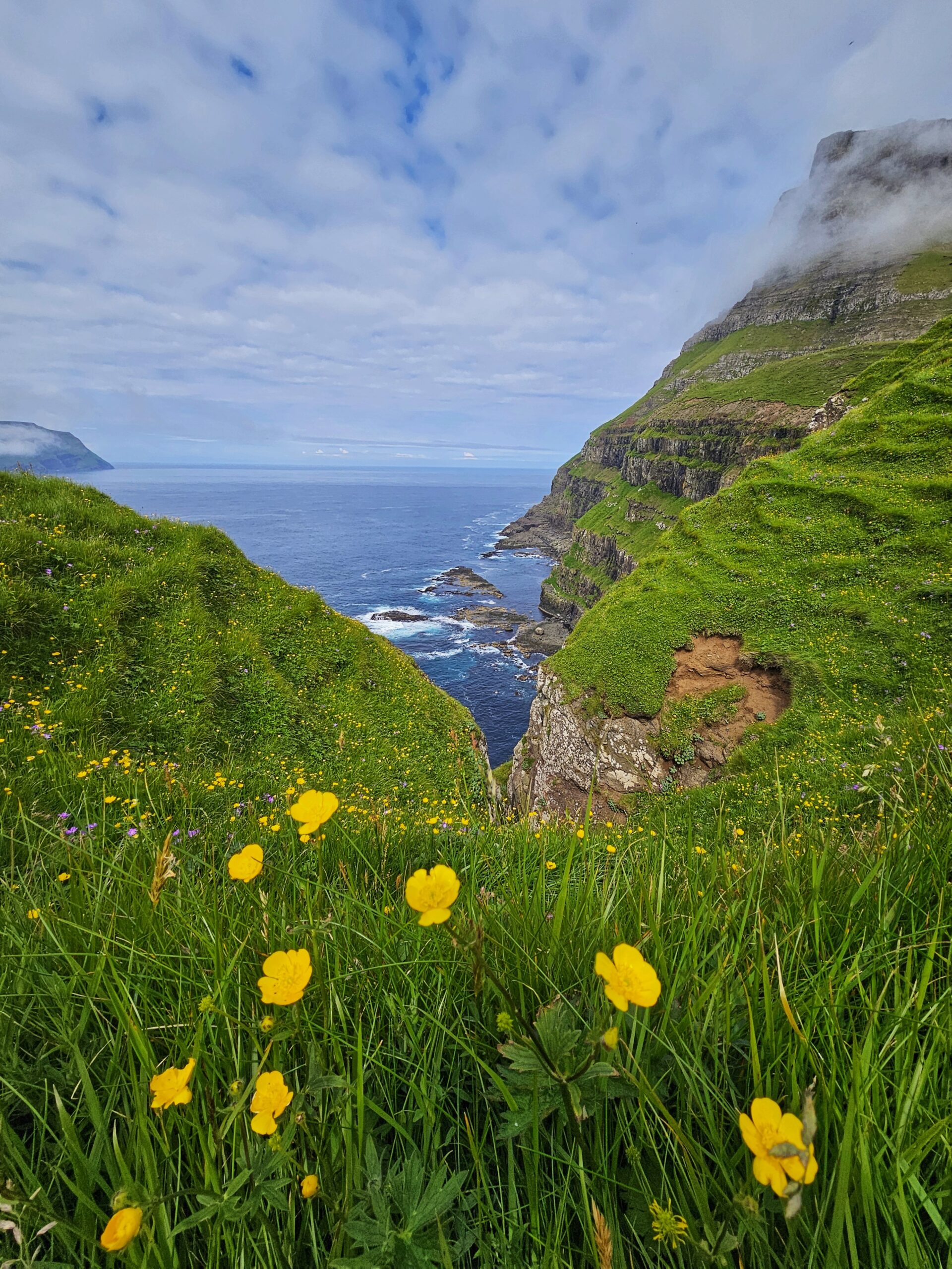 Grüne Schlucht, die sich zum Meer öffnet