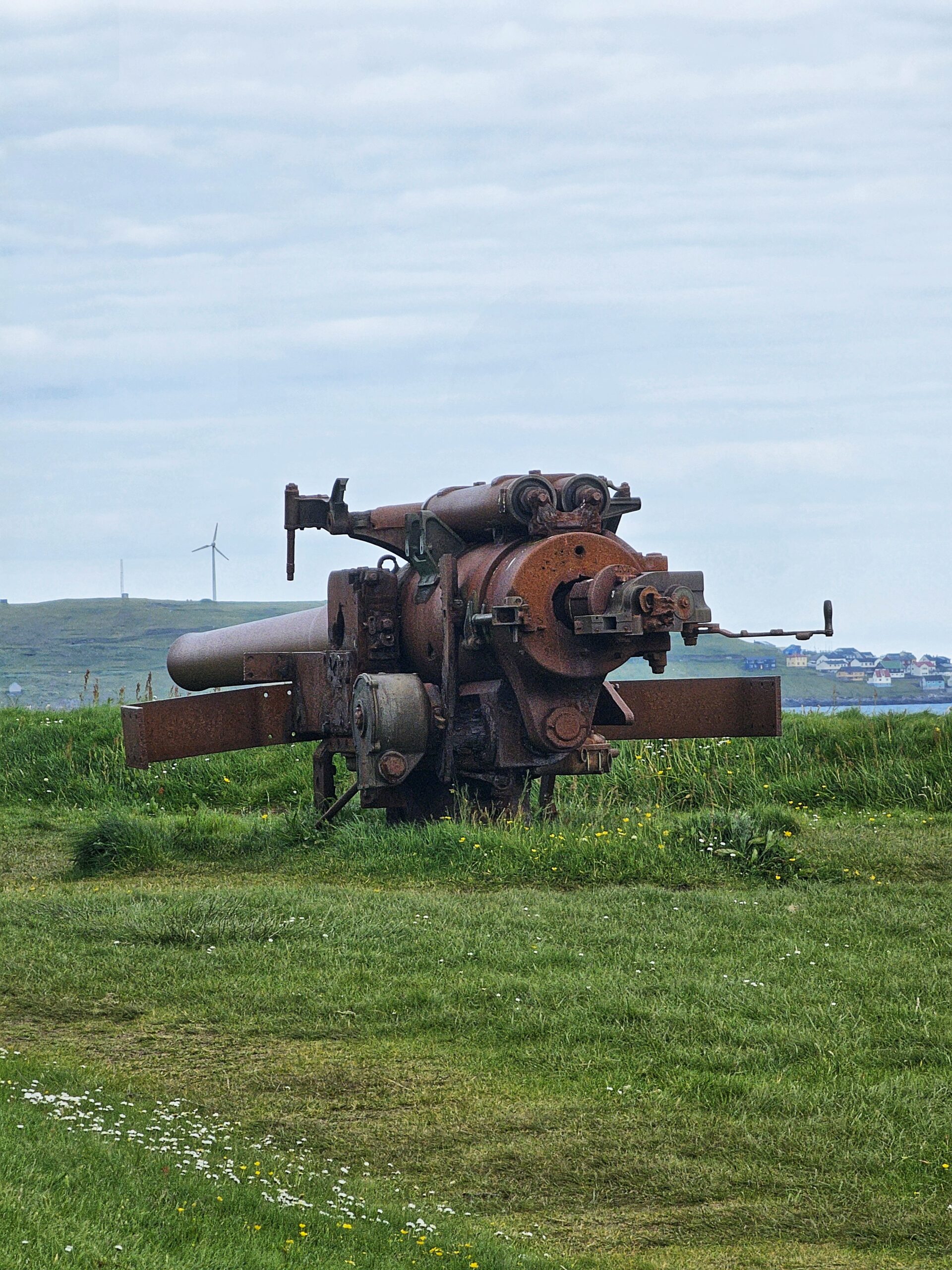 Rostiges Geschütz auf einer Wiese
